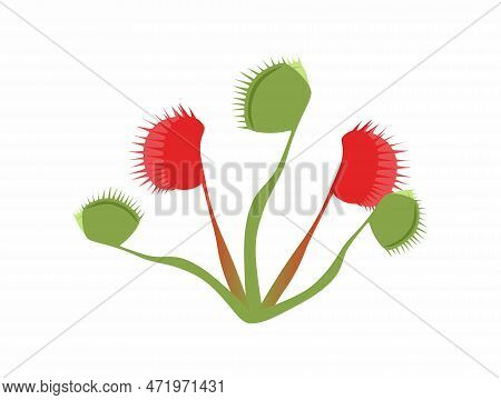 Poisonous Flower. Vector Stock Flat Design. Red And Green Colors. Flowers That Bite.