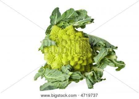 Romanesco
