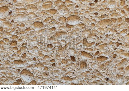 A Closeup Of Cellulose Sponge Texture Details