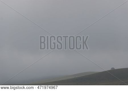 Lonely Tree On A Lush Green Hillside,foggy Day In The Mountains.