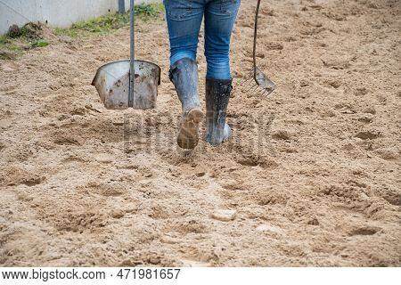 Hores  Paddock Cleaning  Removing  Horses  Manure  Up