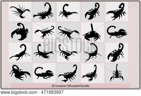 Scorpion Illustration,large Scorpion Silhouette,scorpion Logo Vector, Vector Image For The Tattoo,