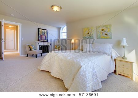 Elegant Large Bedroom