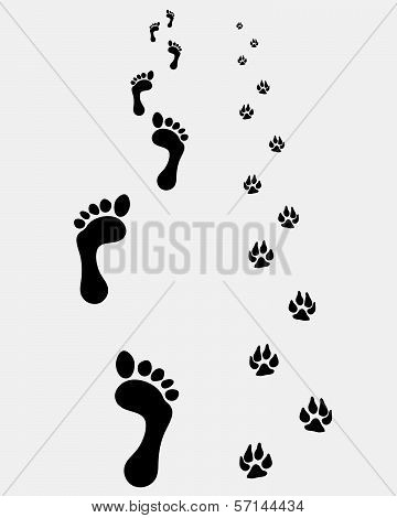 Footprints