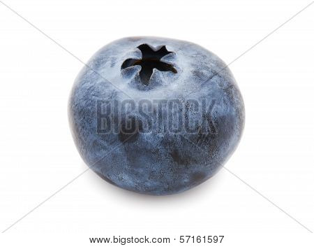 Blueberry