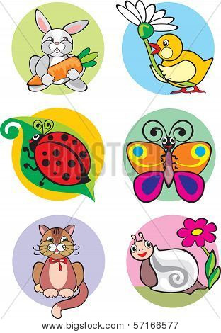 Animals