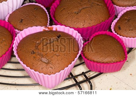 Freshly Baked  Chocolade  Muffins Cooling On Metal Tray