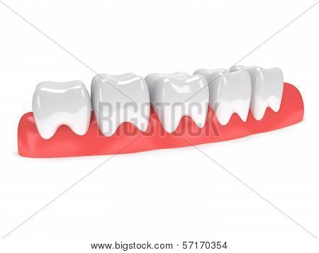Teeth on gingiva isolated on white back.