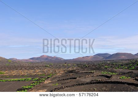 Lanzarote