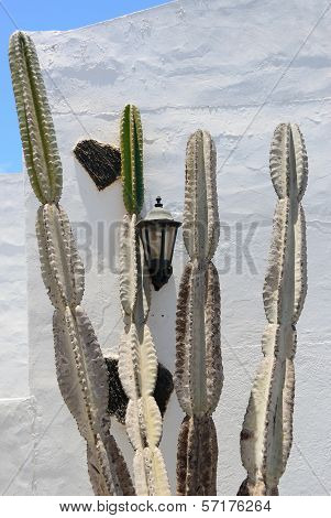 Lanzarote