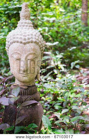 Buddha In Thailand Stucco Nature