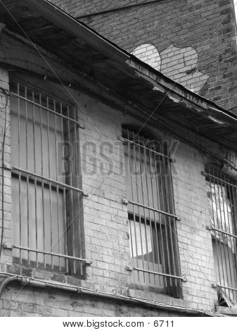 Back Alley Windows 1