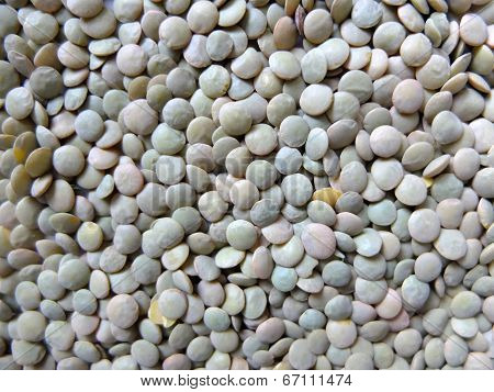 Lentils.