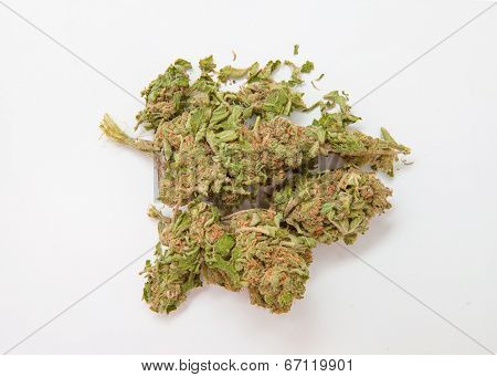 Marijuana bud