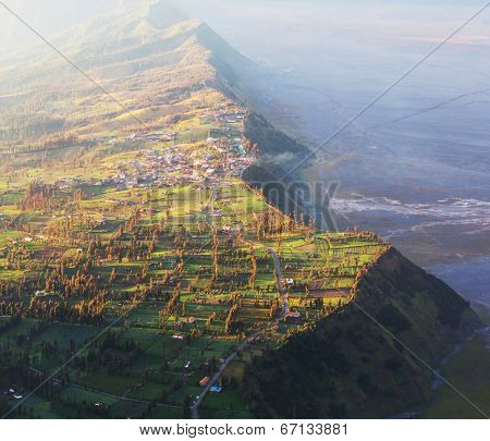 Fields in Indonesia,Java