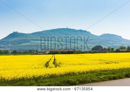 Palava with rape field, Czech Republic