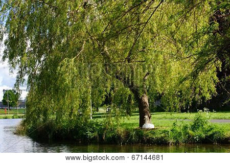 Beautiful Summer Day
