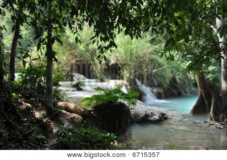 cascade dans la jungle