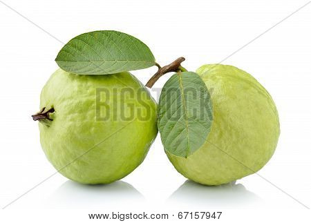 Guava Fruit Isolated On White Background