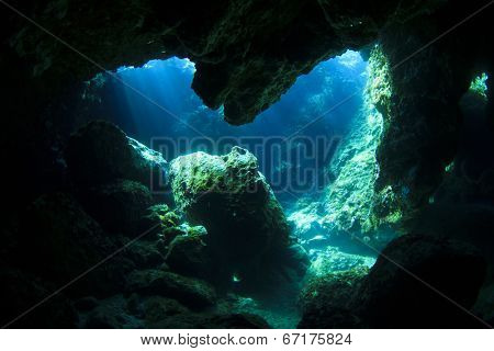 Sunlight enters underwater cave like a spotlight