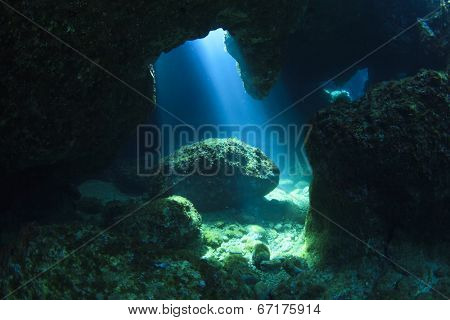 Sunlight enters underwater cave like a spotlight