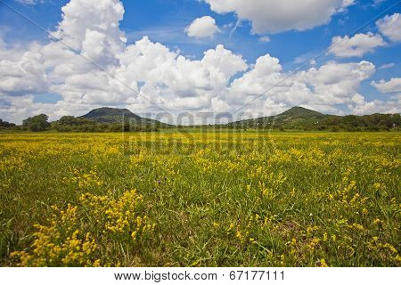 Nice Landscape