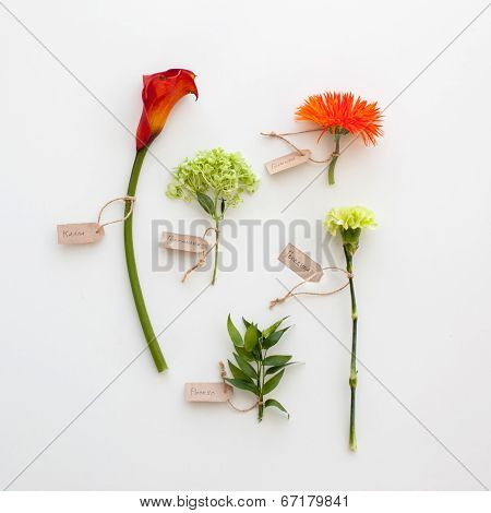flowers