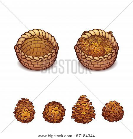 Vector illustration of basket with the pine cones
