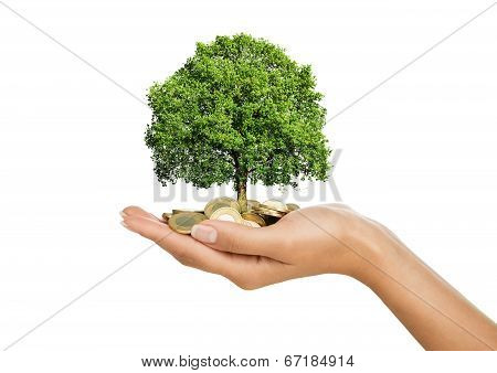 Savings, Investment Concept
