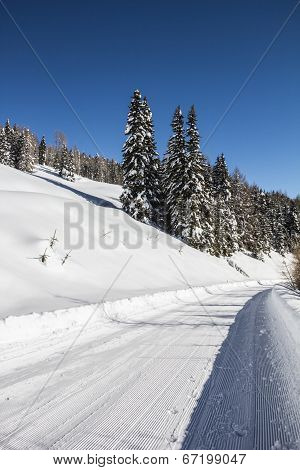 Winter Scenery With Trees Snow And Blue Sky