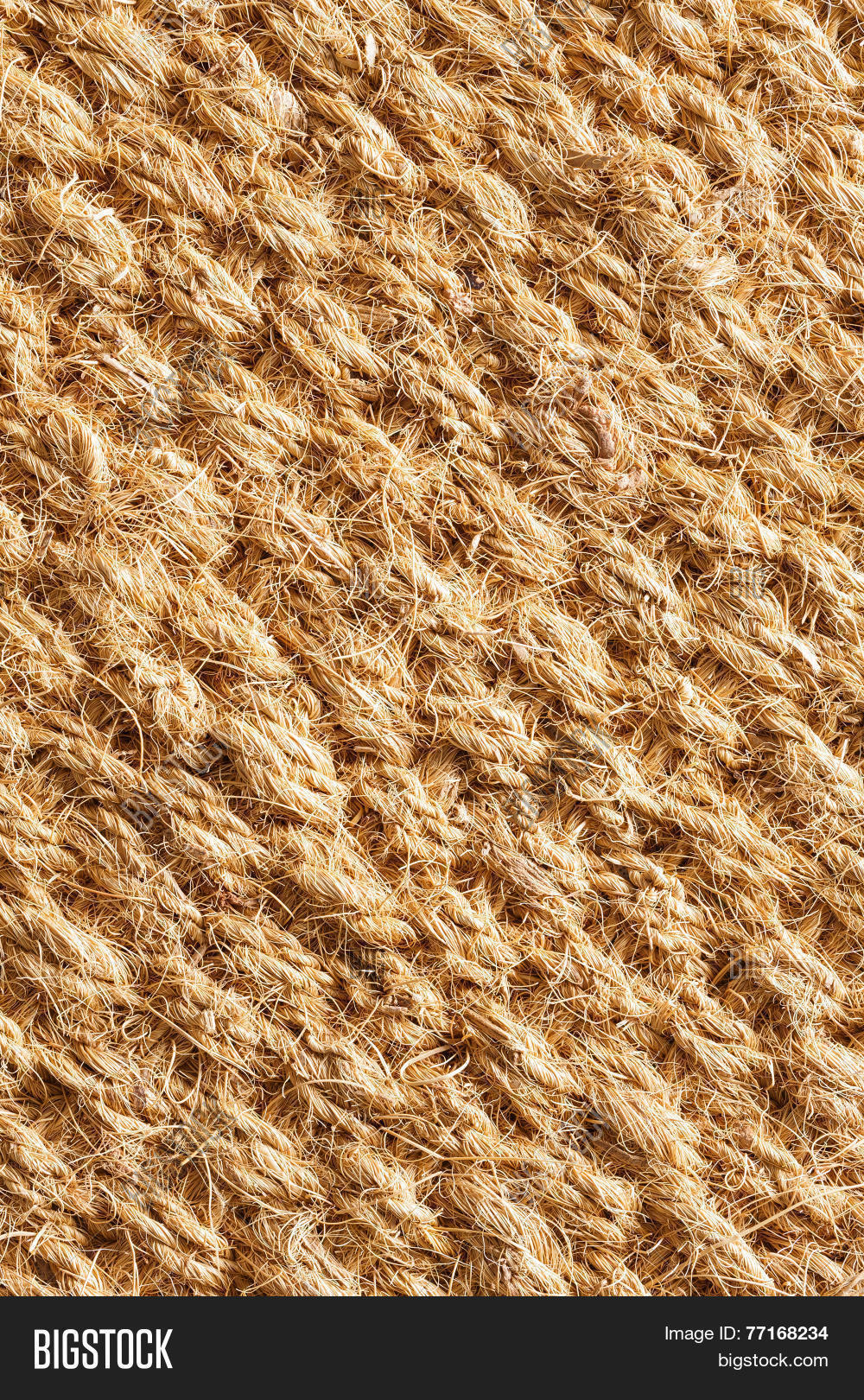 Coconut Fiber Mat Image & Photo (Free Trial) Bigstock