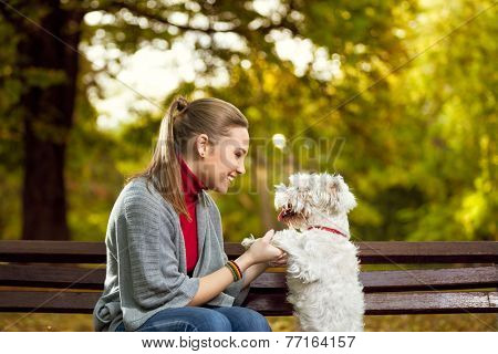 Young woman playing with her puppy in autumn park 