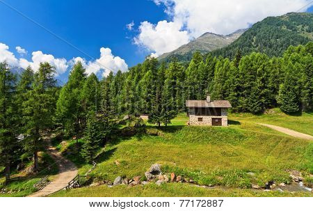 Trentino - High Pejo Valley