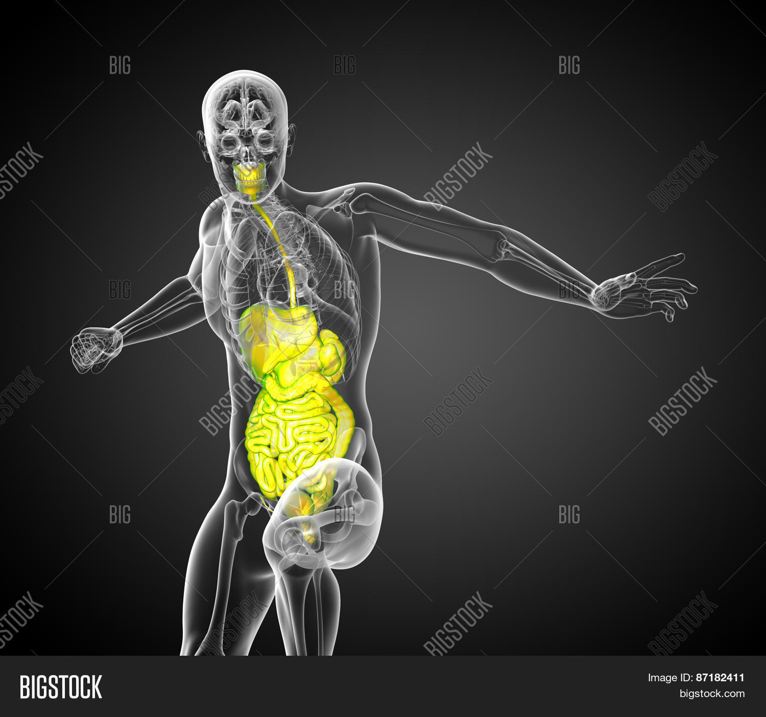 3D Render Medical Image & Photo (Free Trial) | Bigstock