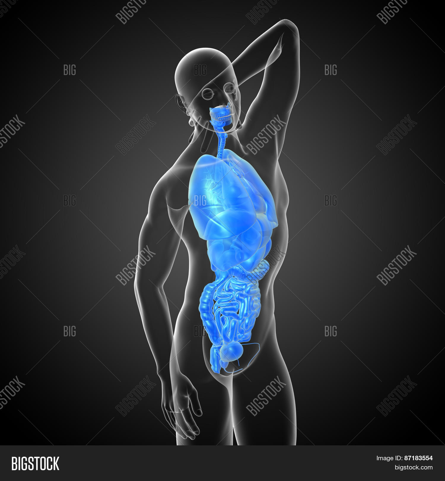 3D Render Medical Image & Photo (Free Trial) | Bigstock