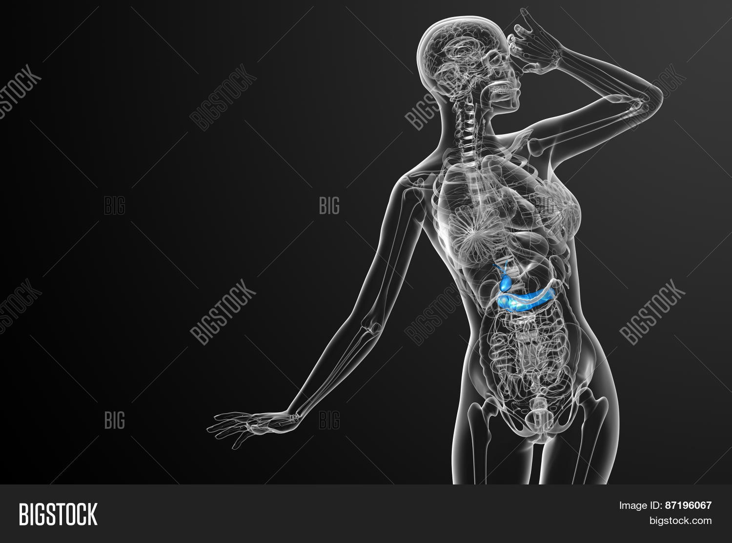 3D Render Medical Image & Photo (Free Trial) | Bigstock