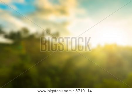Jungle sunrise vector background