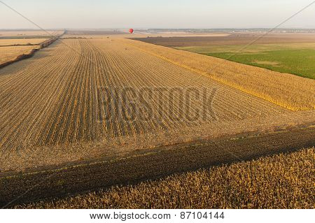 Landscape With Hot Air Balloons