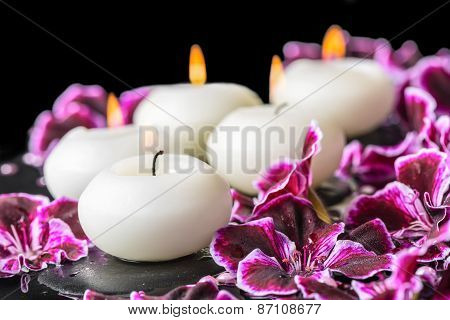 Beautiful Spa Still Life Of Blooming Dark Purple Geranium Flower, Beads And Candles In Reflection Wa