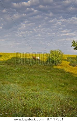 Sunny Blue Sky, Meadow And A Hills Near The Sinemorets