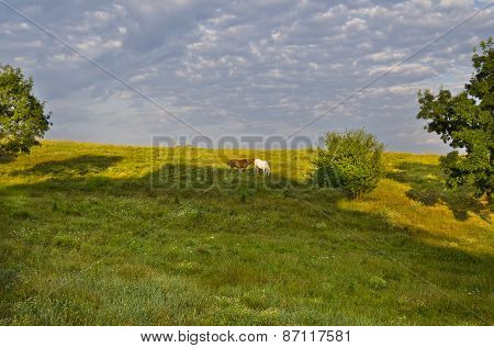 Sunny Blue Sky, Meadow And A Hills Near The Sinemorets