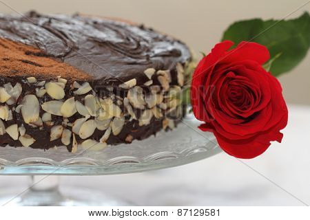 Happy Birthday, Daughter!