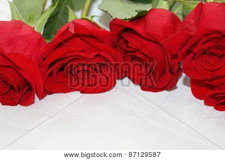 Bouquet Of Scarlet Roses