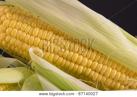Cobs