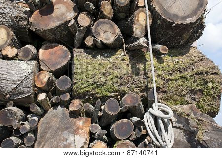Woodpile