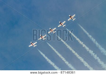 Canadian Forces Snowbirds