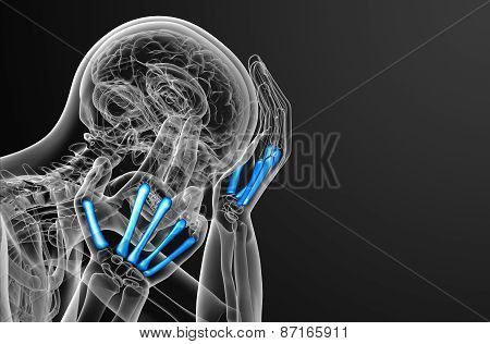 3D Render Medical Illustration Of The Metacarpal Bone