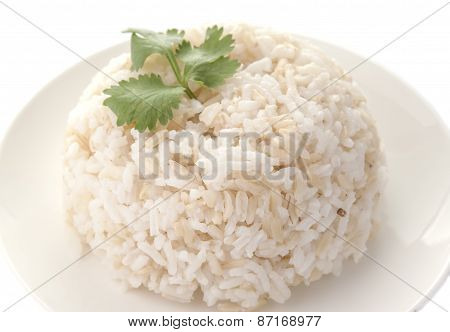 Rice