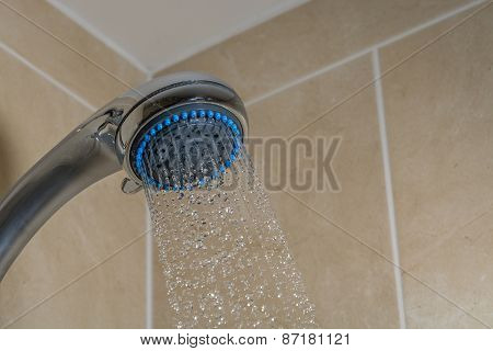 Bathroom Shower Head