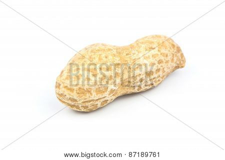 Groundnut